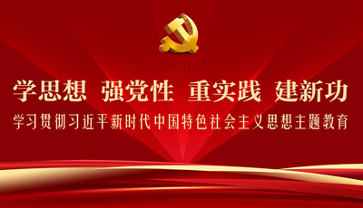 学习贯彻习近平新时代中国特色社会主义思想主题教育