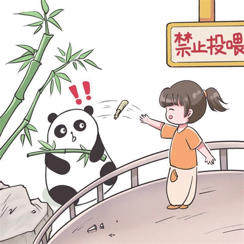 　　苏报融媒 浦靖雯 作