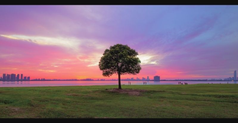 　　&ldquo;一棵树&rdquo;在夕阳下见证了许多关于时光的誓言，不再孤单。
