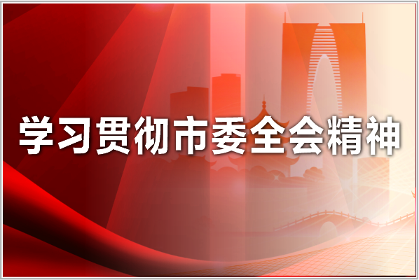 学习贯彻市委全会精神
