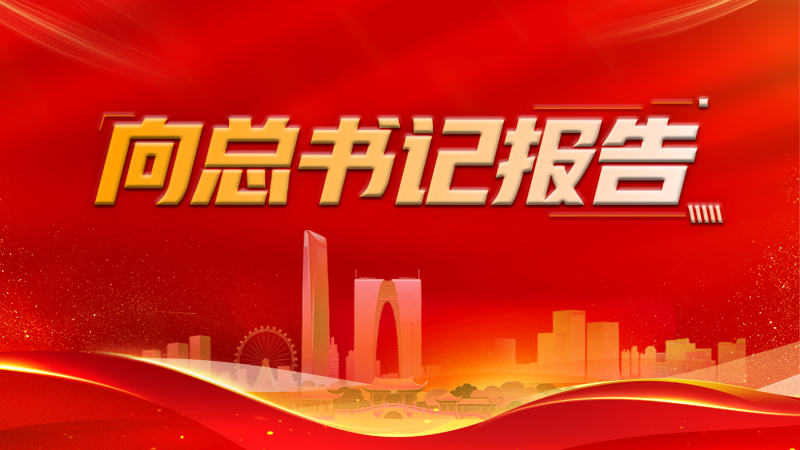 向总书记报告