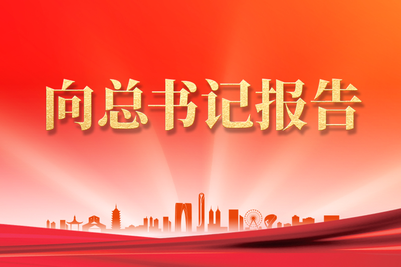 向总书记报告