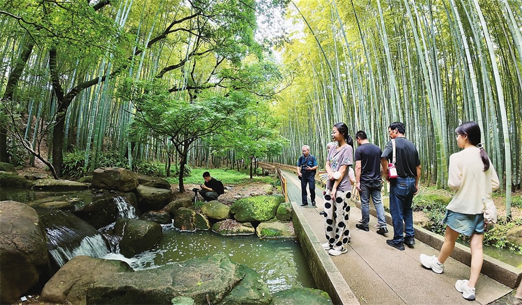 天然“遮阳伞”