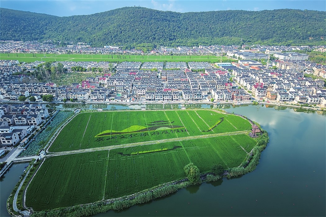 田园新卷