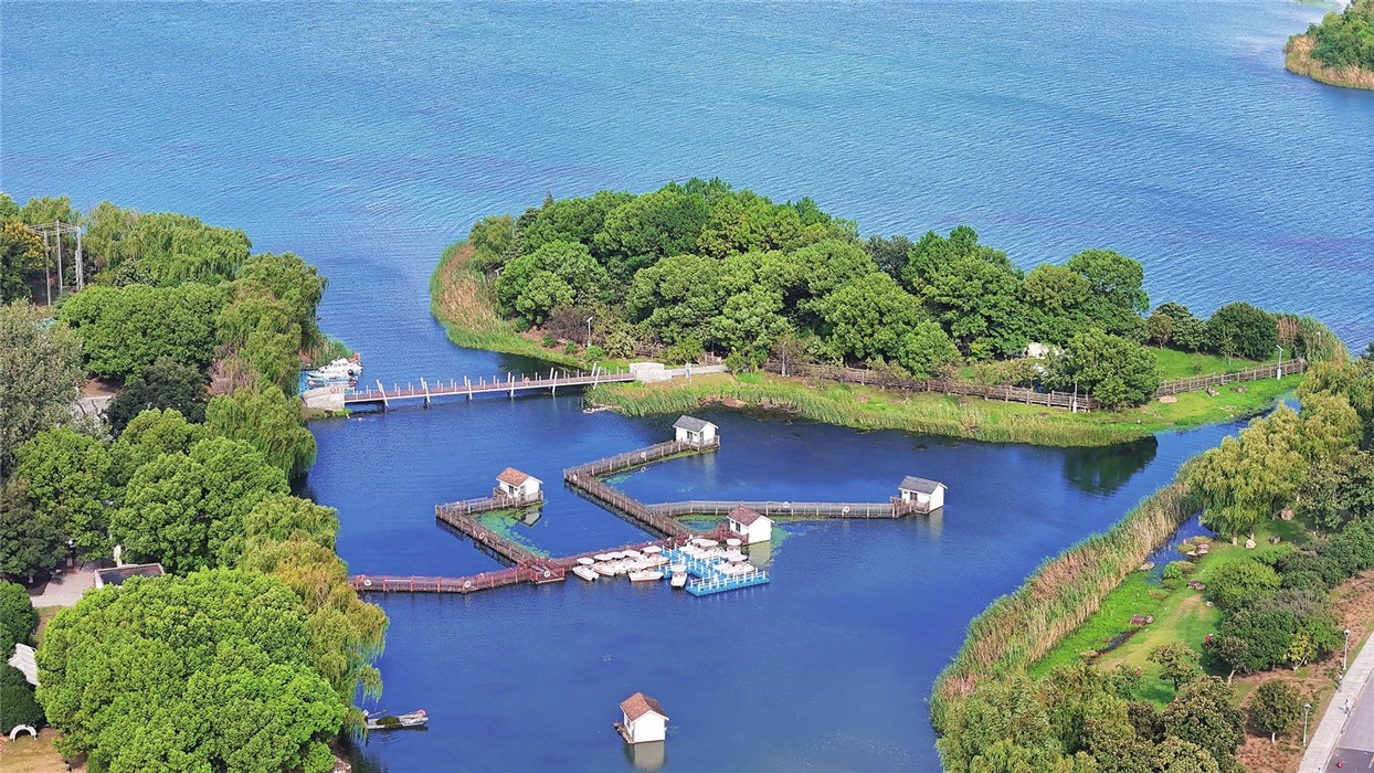 生态美景