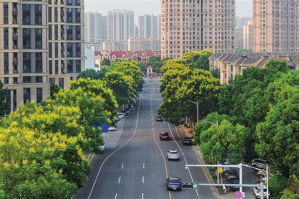 图说“苏周”