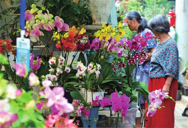 喜迎佳节